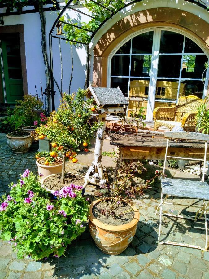 Oase Der Geborgenheit Apartment Venningen Bagian luar foto