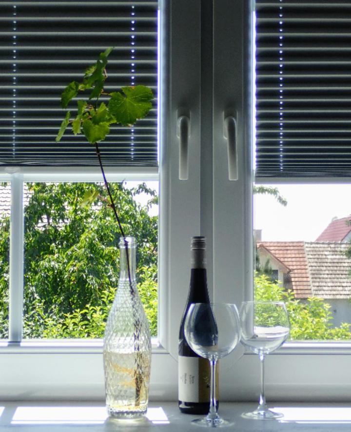Oase Der Geborgenheit Apartment Venningen Bagian luar foto